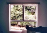 finestra semi aperta paesaggio verde uomo sdraiato sul letto che aspetta si vedono solo le gambe e la finestra socchiusa forse lei tornerà